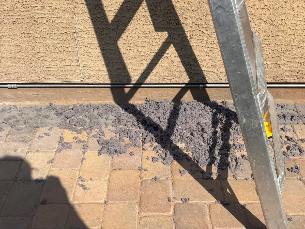 Pile of dryer lint on paving beside an Arizona stucco wall